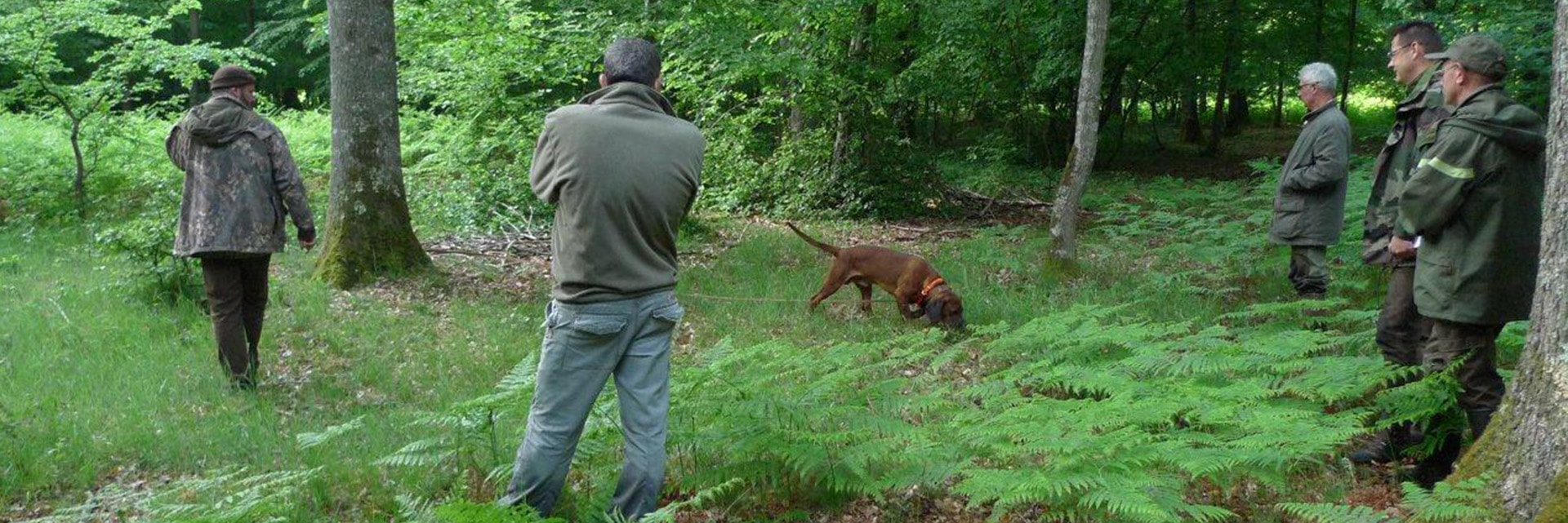 Le Test d’Aptitudes Naturelles